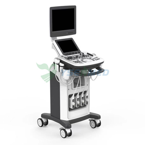 YSB-Q3 Hot Sales Trolley Color Doppler 3D 4D Ultrasound Machine Price