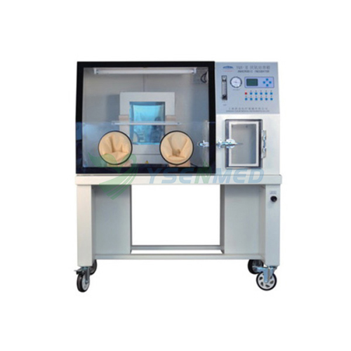 Anaerobic Cultivation Chamber YQX-II