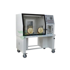 Anaerobic incubator YQX-I