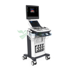 YSB-Q3 Hot Sales Trolley Color Doppler 3D 4D Ultrasound Machine Price