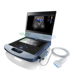 Edan Acclarix AX4 Portable Color Doppler Ultrasound Machine