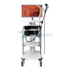 Système d'endoscopie vidéo haute définition médicale SonoScape HD-500