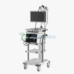 Système d'endoscopie vidéo haute définition médicale SonoScape HD-500