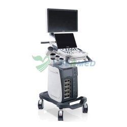 Color Doppler Trolley Ultrasound Scanner Sonoscape P20