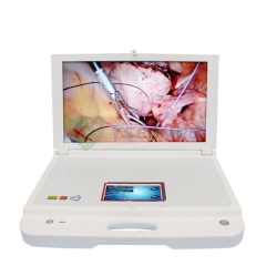 Medical Rigid Endoscope Monitor YSGW603