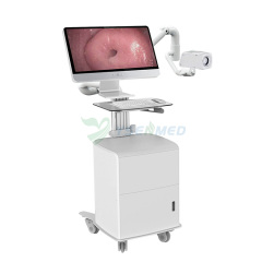 Gynecology Video Colposcope YSSW3305