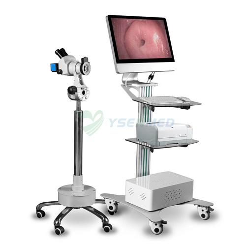 Medical Digital Colposcope With Microscope YSSW3306