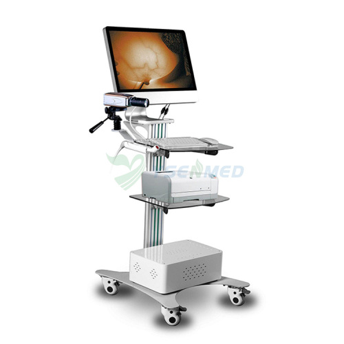 Medical Infrared Inspection Equipment for Mammary Gland YSSW3003