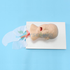 Advanced child trachea intubation model BIX-J4A