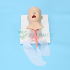 Advanced child trachea intubation model BIX-J4A