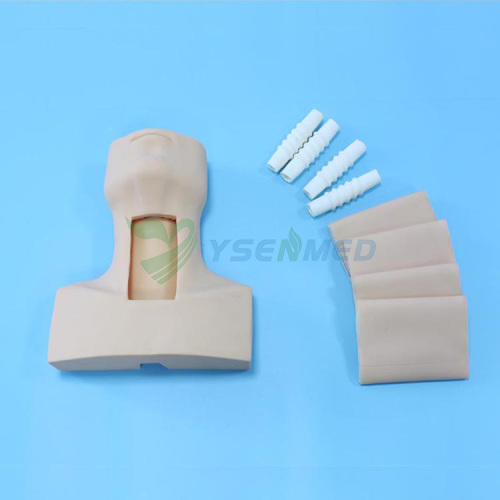 Advanced Tracheostomy Model BIX-J58