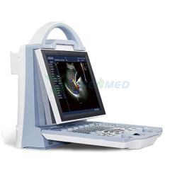 YSB-DU12V Veterinary Portable Color Doppler Ultrasound Machine