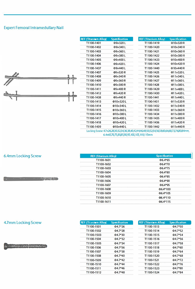 Expert Femoral Intramedullary Nail,Intramedullary Nails