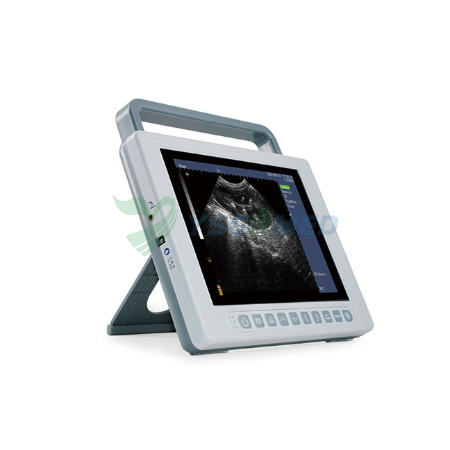 A video introduction to YSENMED YSB-K10V PAD scanner for veterinary use.