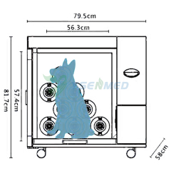 Veterinary Medical Veterinary Dry Cabinet Pet Grooming Equipment Hair Drying Cabinet YSVET-GZ-U2