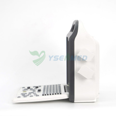 YSB-DU10V Portable Color Doppler Ultrasound Machine