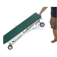 YSFT-833E Electric Mobile Grooming Table