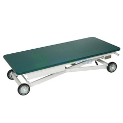 YSFT-833E Electric Mobile Grooming Table
