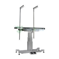 ACE Deluxe Illumination Grooming Table YSFT-889