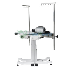 ACE Deluxe Illumination Grooming Table YSFT-889