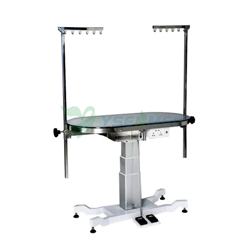 ACE Deluxe Illumination Grooming Table YSFT-889