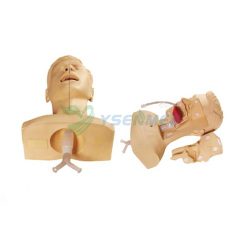 Advanced Sputum suction Training model(medical model) YSBIX-H85
