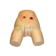 Simulador de cateterismo uretral femenino YSBIX-H70-3