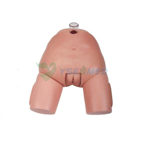 Female Bladder Puncture Simulator YSBIX-H29F