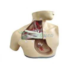 Alimentación Parenteral Enfermería Modelo YSBIX-H72