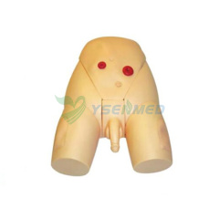 Male urethral catheterization simulator YSBIX-H70-2