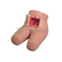 Enema and assisted defecation model YSBIX-H35