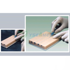 YSBIX-HS15-2 IV Injection Training Pad