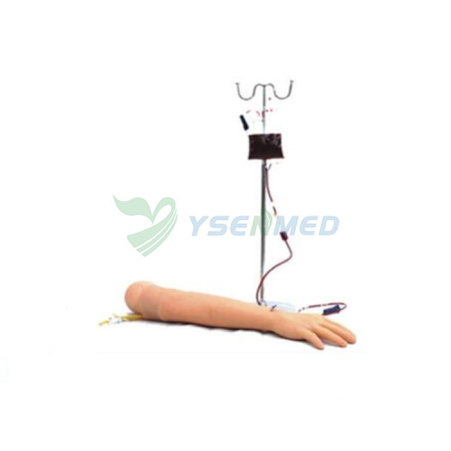 Advanced arm venipuncture and deltoid muscle injection model YSBIX-HS2