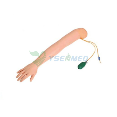 Arm Artery Puncture and Intramuscular Injection Training Model YSBIX-HS5
