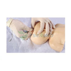 Infant head venipuncture training model YSBIX-HS6-1