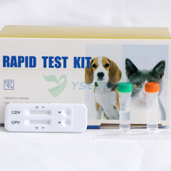 YSENMED Veterinary Rapid Test Strips CPV CDV Ab Canine Parvo-Moquillo Virus Anticuerpo Prueba Rápida