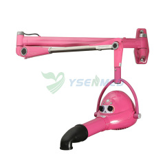 Pet Hair Dryer YSTD-905