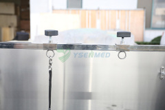 Rounded Corner Electrical Bathing Tub with Overhead Grooming Arm and Lifting Door