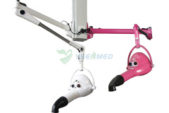 Pet Hair Dryer YSTD-905