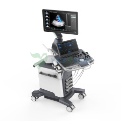 Full Digital Color Doppler Ultrasonic Diagnostic System YSB-VIV60