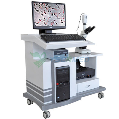 Operation guide video for YSENMED YSVET-SA68T animal sperm analyzer.