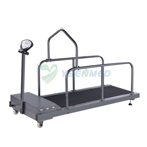 Animal Treadmill Veterinary Strong Durable Dog Treadmill YSVET-TM300G