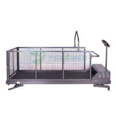 Wholesale Home Use Electrical Pet Dog Walking Treadmill For Dogs YSVET-TM400WSH