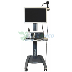 YSNJ-330VET Veterinary Video Endoscopy System With Trolley