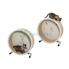 Veterinary Running Equipment Cat Running Circle Cat Treadmill YSVET-ML07