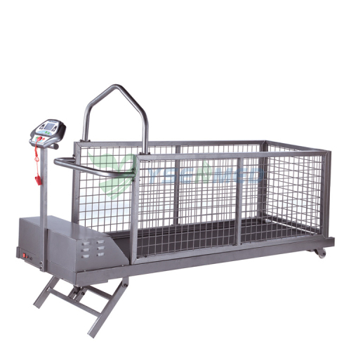 Cheap Electric Dog Treadmill Walking Machine Pets YSVET-TM400WSG