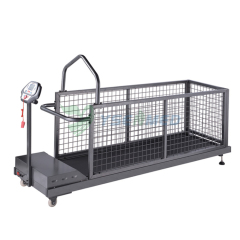 YSVET-TM400W Animal Treadmill Vet Treadmill