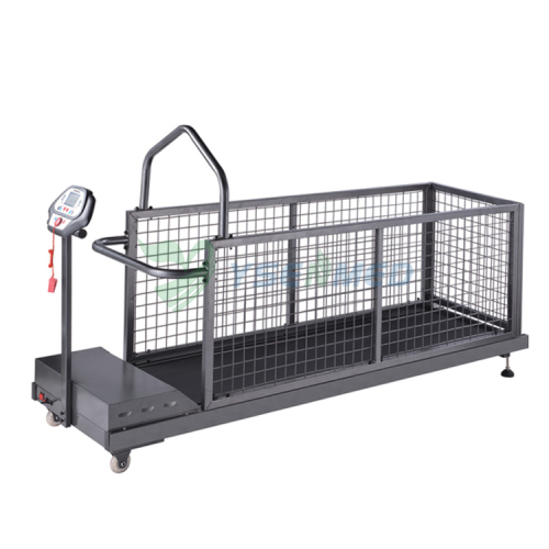 YSVET-TM400W Animal Treadmill Vet Treadmill