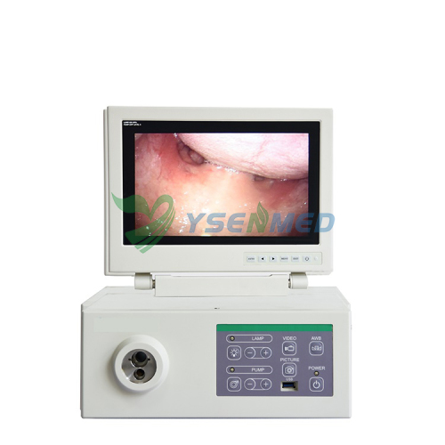 Combined Veterinary Video Endoscope System YSNJ-100VET-P
