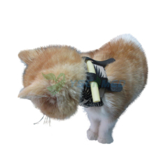 Cat stomach tube fixation collar YSVET-WGQ